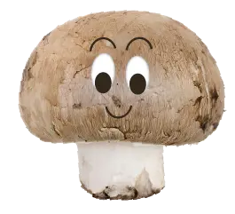 mushroom character